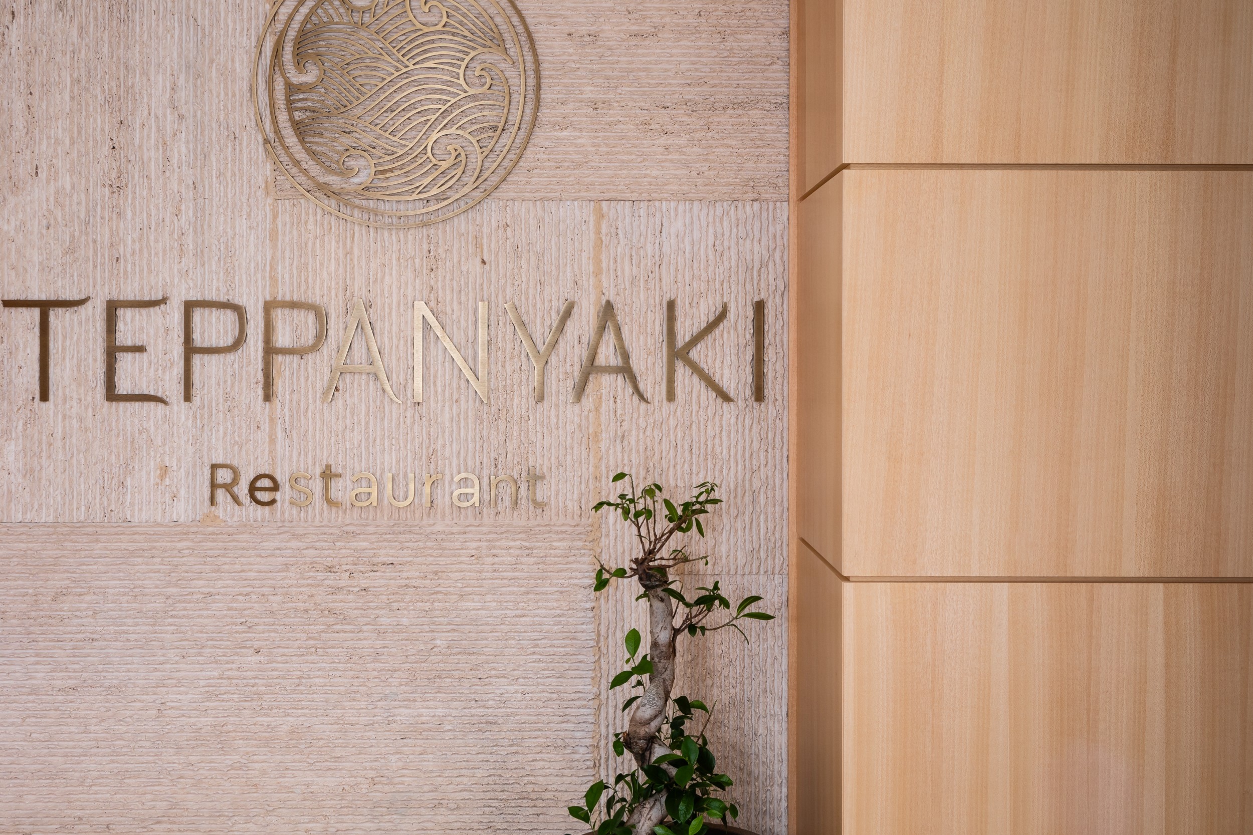 Teppanyaki Grill