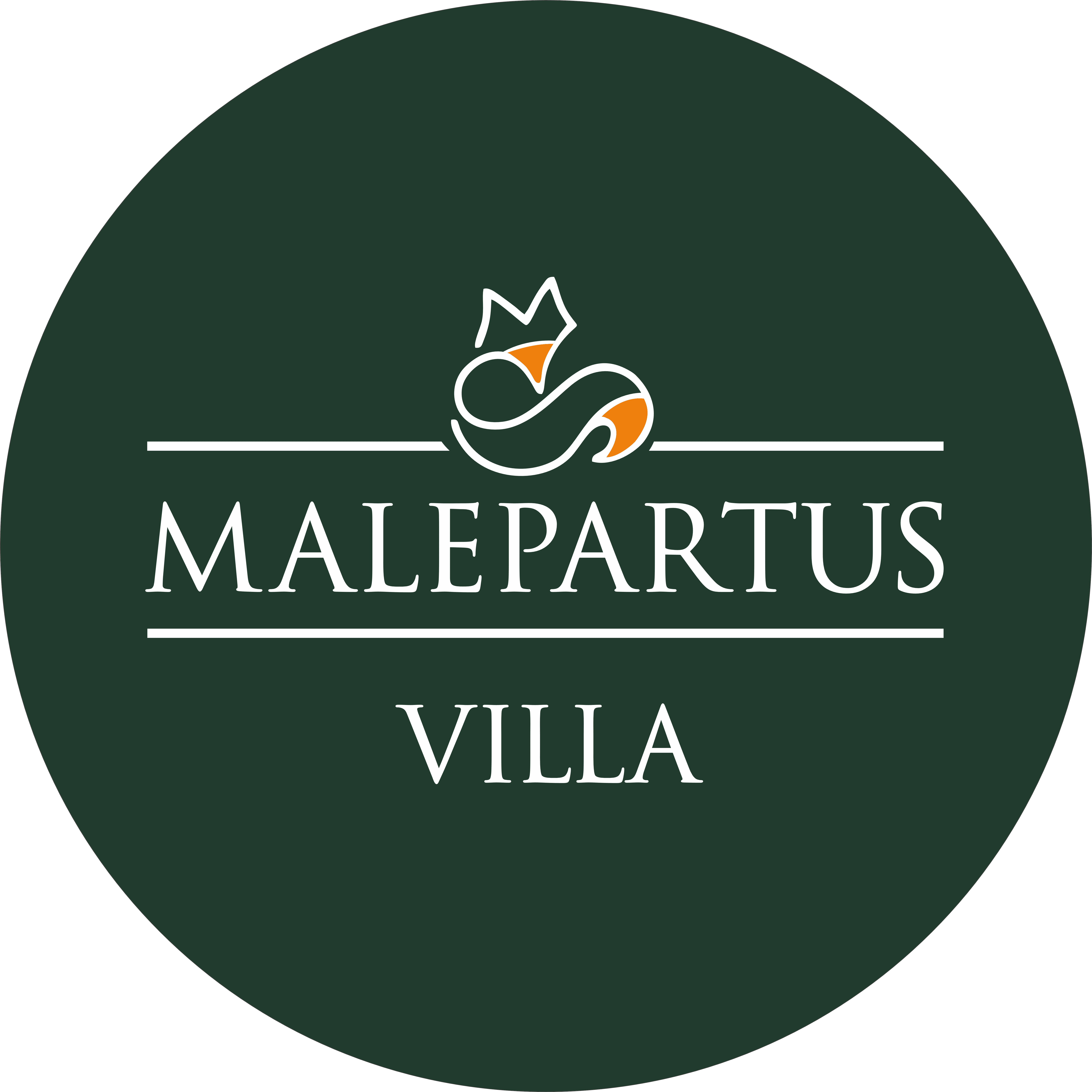 Villa Malepartus