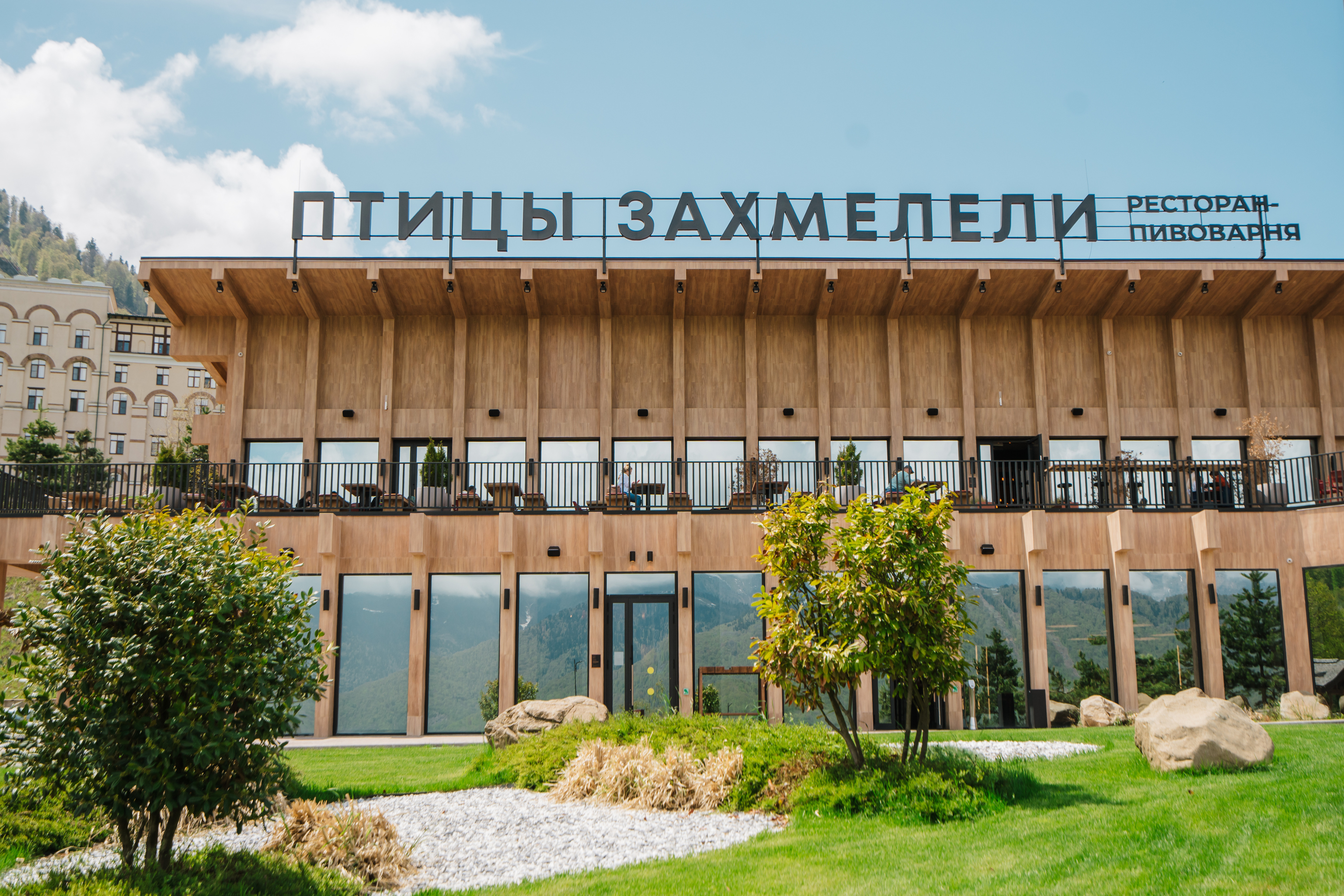Птицы захмелели Сочи
