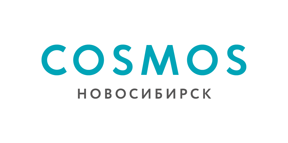 Cosmos Новосибирск Отель